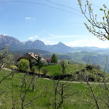 Birbamergut Longostagno Buitenkant foto