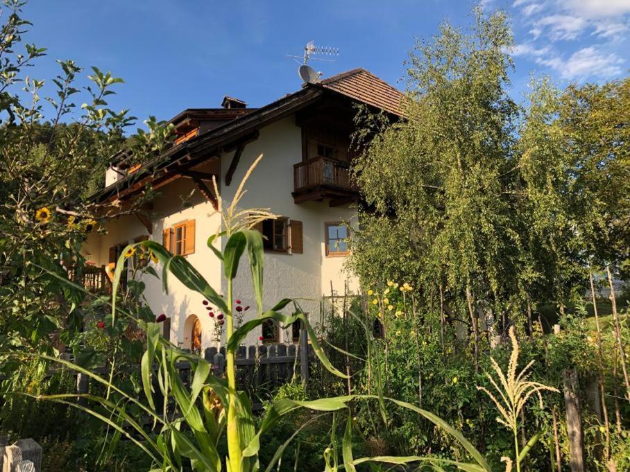 Birbamergut Longostagno Buitenkant foto
