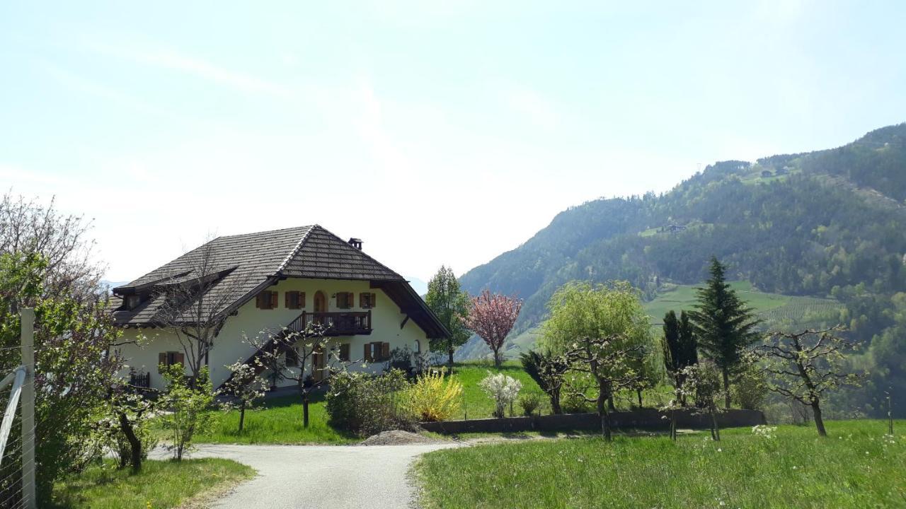 Birbamergut Longostagno Buitenkant foto