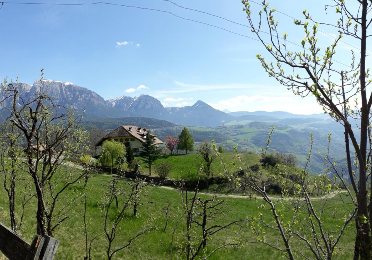 Birbamergut Longostagno Buitenkant foto