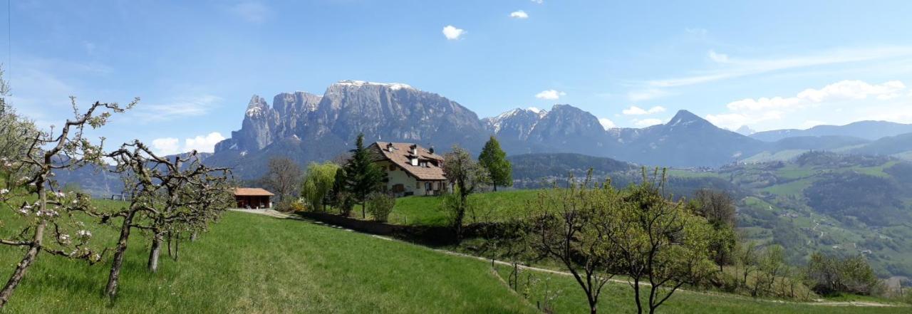 Birbamergut Longostagno Buitenkant foto