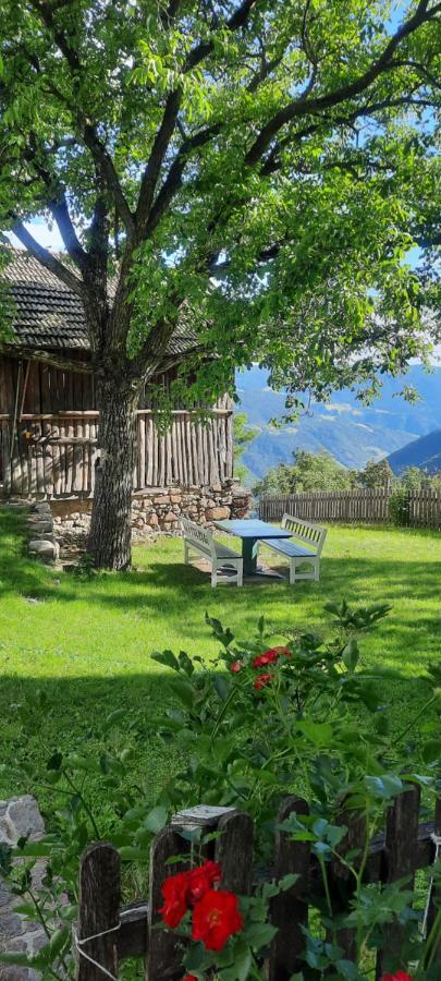 Birbamergut Longostagno Buitenkant foto